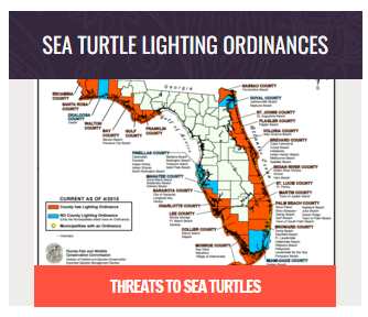 Sea Turtles - South Florida Audubon Society